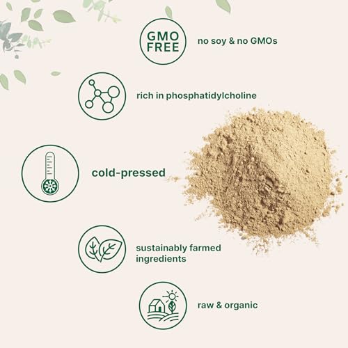 Micro Ingredients Organic Sunflower Lecithin Powder
