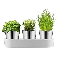 WMF Gourmet Kräutertopf mit Bewässerungssystem 3-teilig, Kräutergarten für die Küche, 36x 12,5X 12,5 cm, für frische Küchenkräuter, Blumentopf weiß