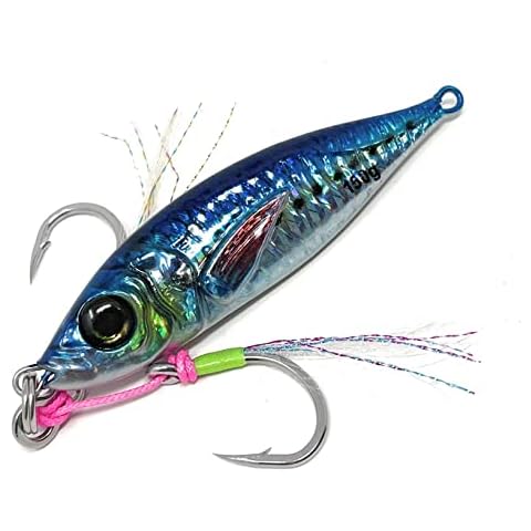 Capt Jay Fishing Saltwater 3D Jigs Speed Jigging Slow Jigging ,Vertical Jigging Artificial Lures Jigging Lure Fishing jigs (150g, 150g Blue) Cover