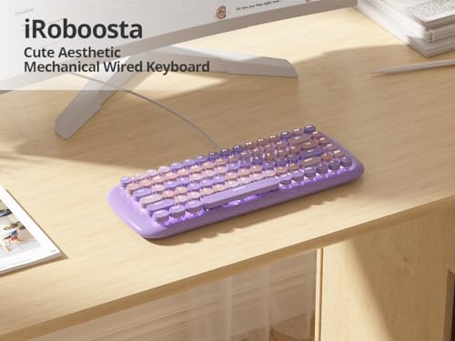 Teclado Mecánico Gamer Retro iRoboosta USB-A miniatura 5