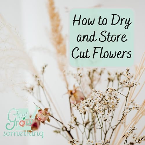 How to Dry and Store Cut Flowers Ep. 219 Just Grow Something The