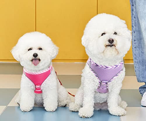 Yudote Step In Dog Harness Breathable Air Mesh Pet Vest Harnesses With Reflective Trim, Dog Vest For Cats And Small Meidum Dogs, Lavender #TOP7