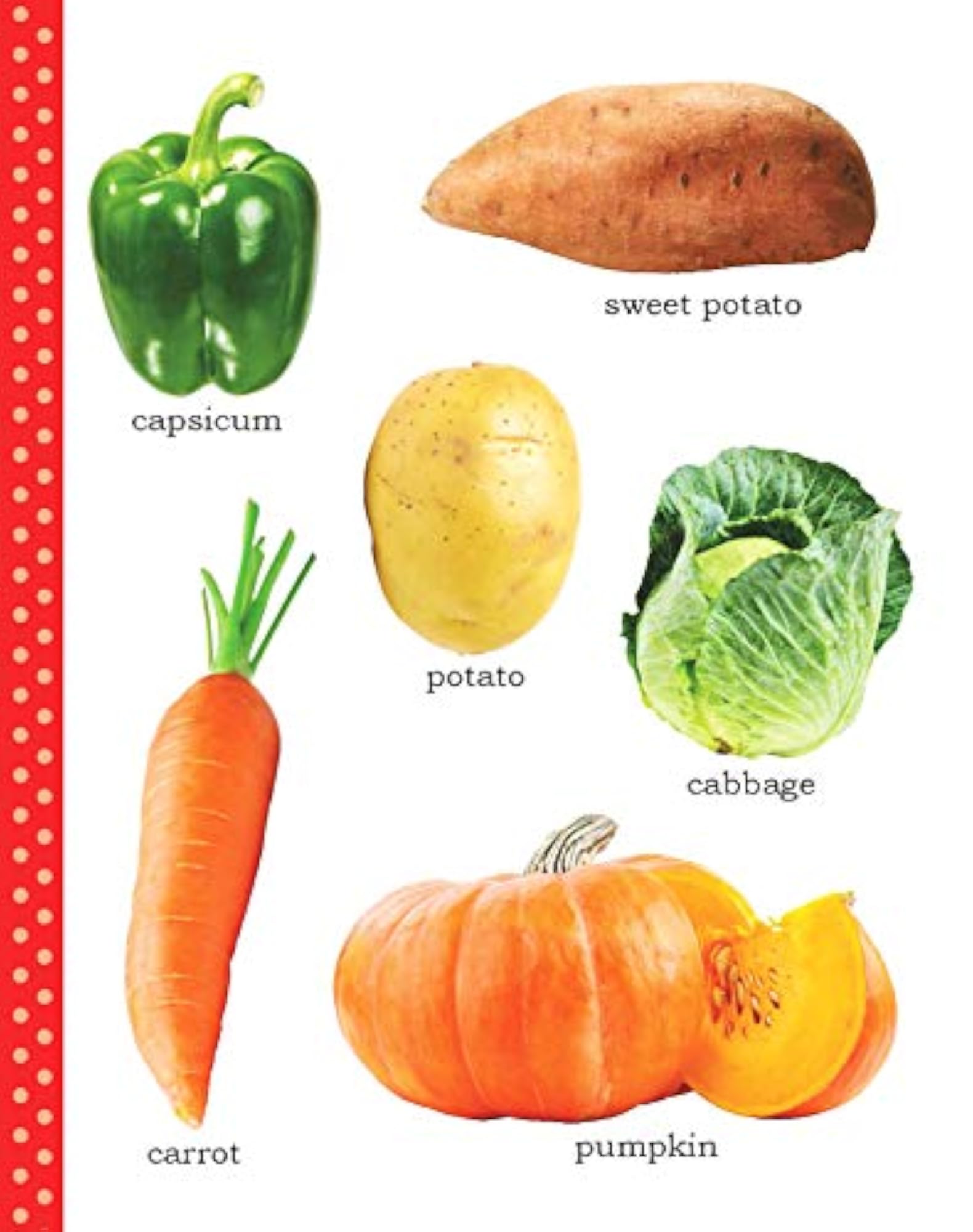 My First Picture Book of Vegetables