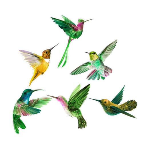 UKCOCO 6piezas Pegatinas Anticolisión Para Ventanas Diseño Sin Adhesivo Protección Segura Para Aves y Decoración Para Hogar Para Ventanas De Dormitorio y Sala
