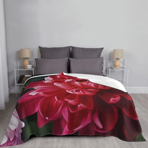 Couverture microfibre légère plaid chaud anti-froid canapé lit - 7