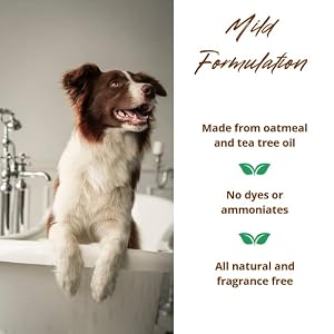 Allersearch Pet+ Oatmeal Anti-Allergen Dog Shampoo 16 oz Allersearch Pet+ Oatmeal Anti-Allergen Dog Shampoo 16 oz