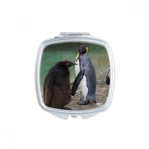 Miroir compact pingouin antarctique, le cadeau mignon idéal - 2
