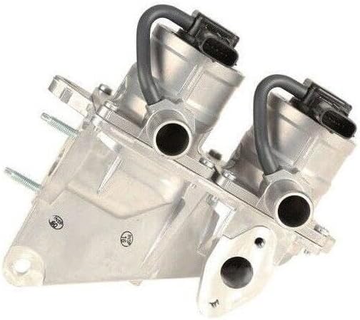 Genuine OEM Secondary Air Injection Pump Check Valve SWIT for Toyota Tundra SR5 25710-31012 2571031012