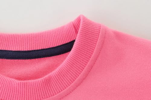 Image of AIWUHE Toddler Cotton Sweatshirt Boys Girls Pullover Long Sleeve Tops 2-6Y