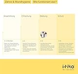 ITIKO | Natürliche Zahnpflege für Hund | Effektive Lösung zur Mundgeruch bei Hund | Zahnreinigung Hund | Alternative zu Zahnsteinspray oder Dentalspray für Hunde