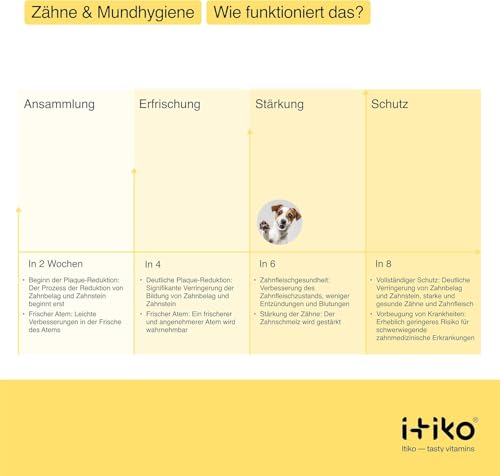 ITIKO | Natürliche Zahnpflege für Hund | Effektive Lösung zur Mundgeruch bei Hund | Zahnreinigung Hund | Alternative zu Zahnsteinspray oder Dentalspray für Hunde