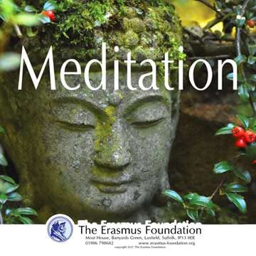 E70 Two Swans cover art