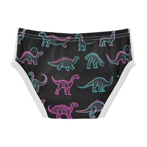 Wusikd Dinosaurs Boys' Underwear Cotton Cartoon Boys Briefs Soft Toddler Underwear 2T2