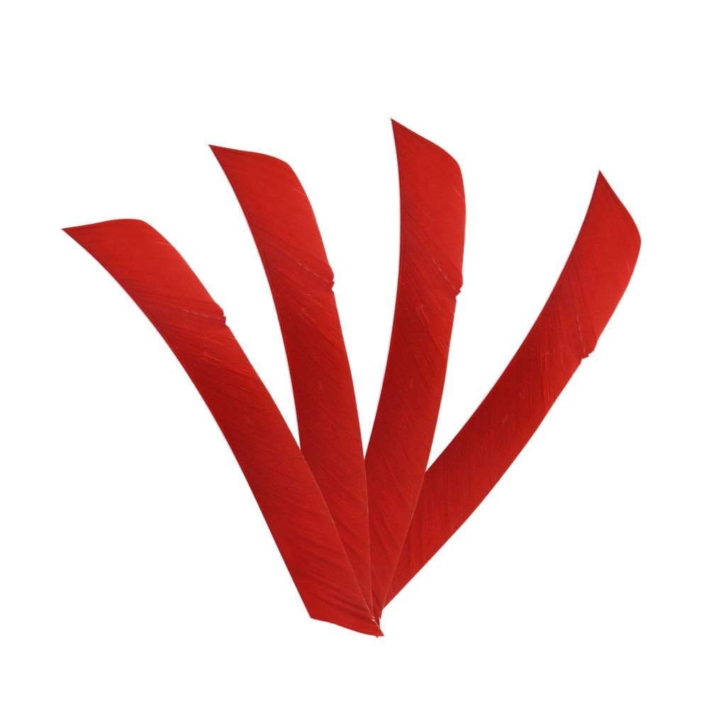 wolfman Tiro con Arco Pluma de Flecha Espiral Envoltura de Giro Plumas Longitud Completa ala Izquierda Derecha Plumas de Pavo Naturales 8-11" para Flechas de Gripe 50 Pz
