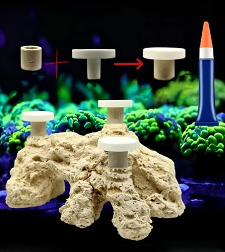 AWXZOM Pluggable Ceramic Coral Frag Plugs 12pcs + Coral Glue frag Plug Base