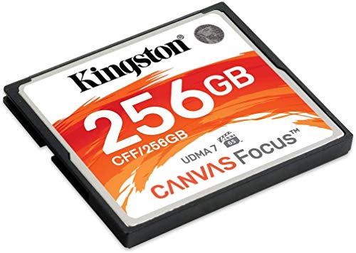 Kingston CFF/256GB Canvas Focus Carte Mémoire Compacte Flash, 256 GB