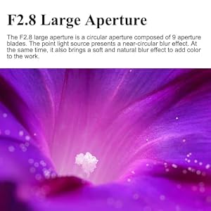 7artisans 60mm F2.8 Macro 2X Lens for Sony E Mount, 2:1 Full Frame Prime Manual Focus Large Aperture Lens for Mirrorless Cameras for FX, A1,A9,A7M, A7R, A7S, A7C, ZVE, A6000,A5000,A3000,NEX — photo 6 of 6