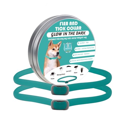 Collare antizecche per cani Collare Luminescente Anti-Insetti per Cani con 3 Repellenti Naturali 8 Mesi di Protezione Naturale, Lunghezza 65 Cm, Autoregolabile，Set de 2 Piezas (Green)