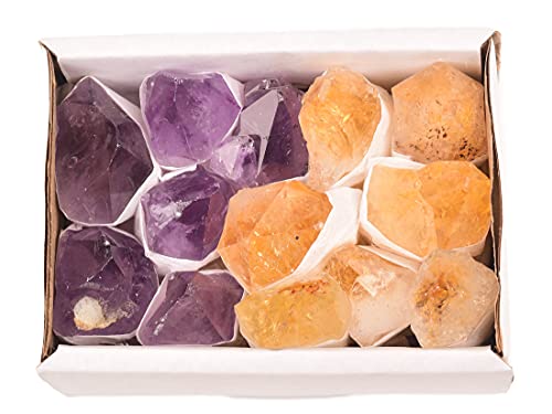 AMOYSTONE 11-13 Pcs Amethyst & Citrine Rough Crystals Mix in Box Grade B Natural Stones for Chakra Healing Meditation Rock Collection