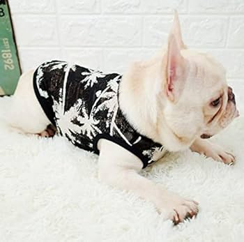 Amazon | 【24HOURS】フレンチブルドッグ フレンチブルドッグ