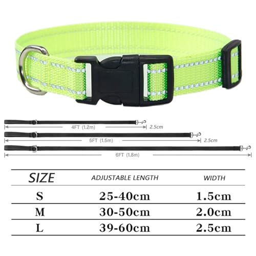 Sangle sécurité avec boucle en métal pour chien modèle A16 - 5