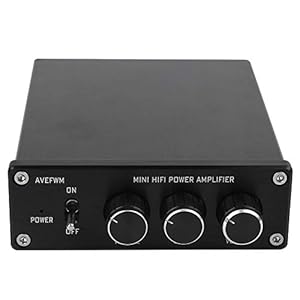 RCA Signaalingang Mini Hi-Fi Versterker Stereo Audio 2 Kanaals Digitale Versterker Ontvanger 100 W x 2 Audio Accessoires…