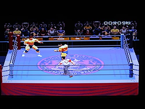 実況パワープロレスリング'96 マックスボルテージの関連画像5