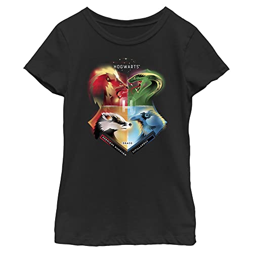 T-shirt Harry Potter Draco pour fille et ado fan de Poudlard en coton