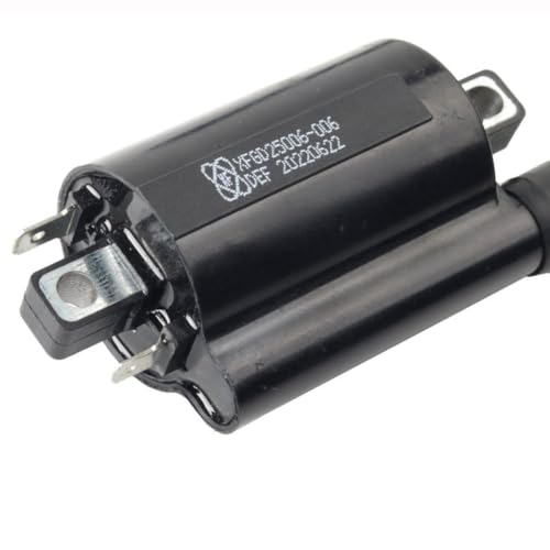 Motorcycle Ignition Coil Pressure Coil 50cc 70cc 110cc 125cc 150cc 200cc 250cc Compatible with Automotive Motorcycle Parts ATV Scooter Quad Bike