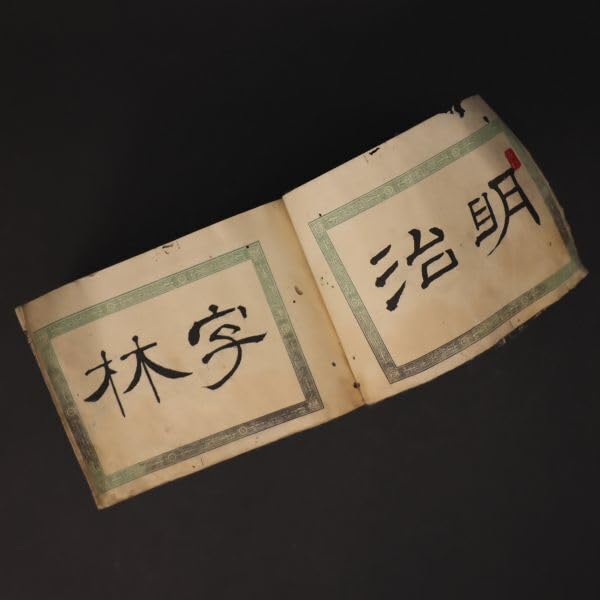 Amazon.co.jp: 蔵出し 明治字林玉篇 漢字 字引 辞典 辞書 貴重