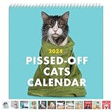 2024 Pissed Off Cats Calendar Wall Calendar 2024 Calendar Month to View Angry Fun Cats Family Wall Planner with Hanging Hook Family Monthly Planner Organiser for Home Business Office School (Style-1)