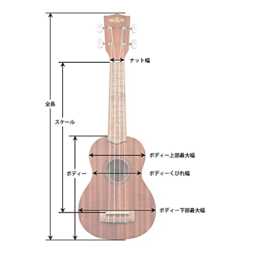 Kala KA-SSEM-C – Epicéa massif et acajou exotique – ukulele concert (+ housse) - Les Beatles, Paul McCartney, John Lennon, RIngo Starr, George Harrison Kala KA-SSEM-C - Epicéa massif et acajou exotique - ukulele concert (+ housse) – Image 6