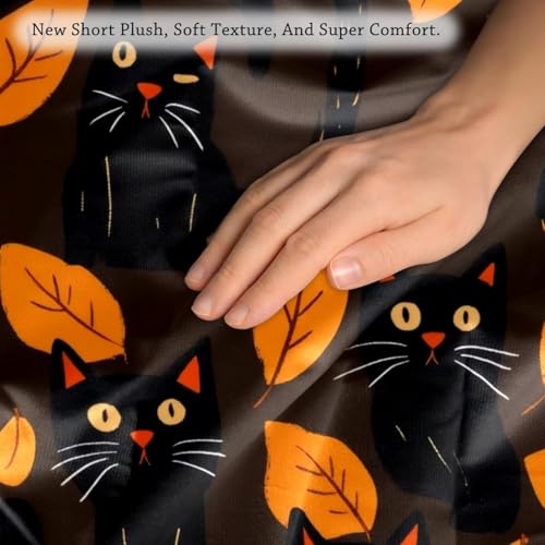 Housse de coussin chat noir velours doux 50x50 pour protéger vos canapés