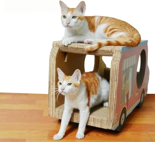 CokBlu L̂Ђ i{[LVїpi ܋@\t LƑgݍ킹\ L̉ƌp ؐܔfUC TCY Ԍ^fUCIvV @\L