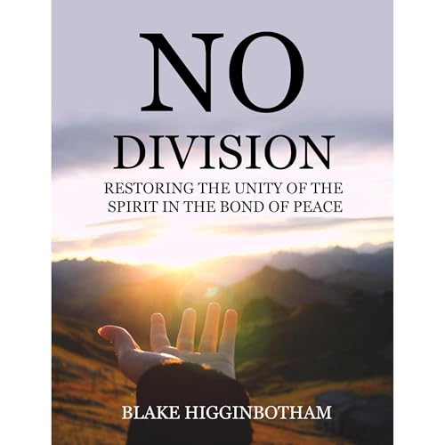 NO DIVISION Audiolibro Por Blake Higginbotham arte de portada