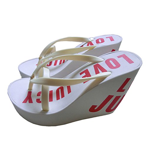 [Cozy Maker] C&M r[`T_ fB[X  nCq[  T_ gOT_ ₷ 킢 ~[ EFbW\[ r[T  ]g C 傫TCY (iFR37j 23.5cm, zCg)