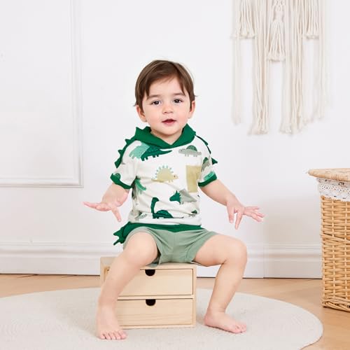 Toddler Baby Boy Hooded Summer Clothes Dinosaur Short Sleeve Color Block Shorts Set Cute Infant Summer Outfit3