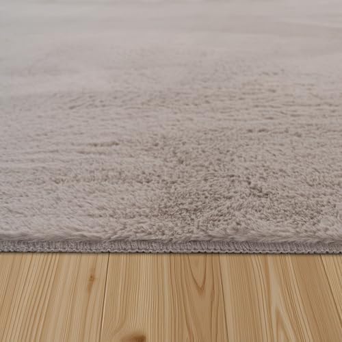 Paco Home Hochflor Teppich Wohnzimmer Flauschig Fellteppich Kunstfell Plüsch Shaggy Weich Fellimitat, Grösse: 160x220 cm, Farbe: Beige - 2