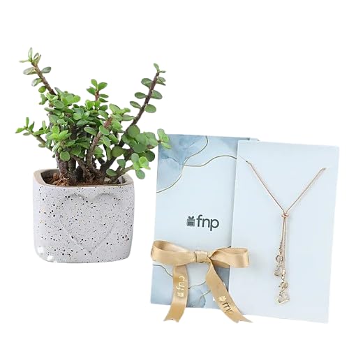 Zen Garden Gift Set-image-32