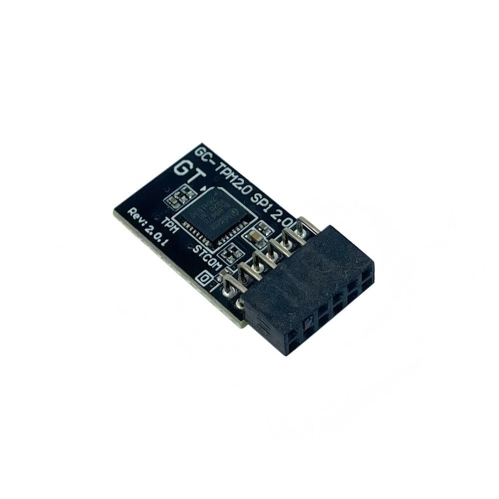 Gintai TPM 2.0 Module TPM SPI 12Pin Module for Gigabyte Motherboard B650 Gaming X AX B650E AORUS Stealth ICE B650E AORUS Elite X AX ICE B650M D3HX SI B650E AORUS PRO X USB4 B650M Gaming Plus WiFi