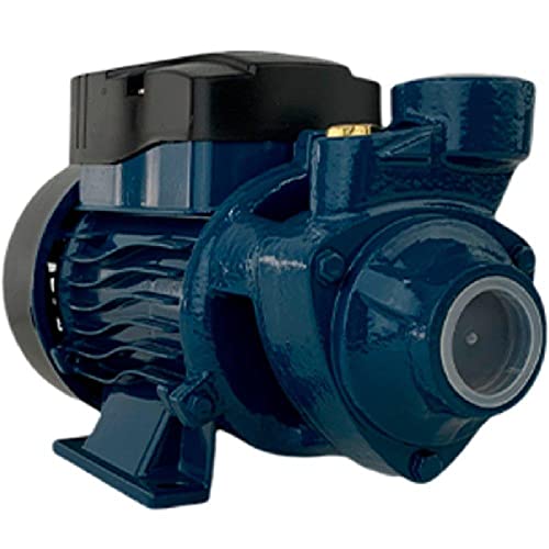 Bomba DÁgua Motobomba Periférica Lepono BP60 0.5 Hp Mono 1 Pol