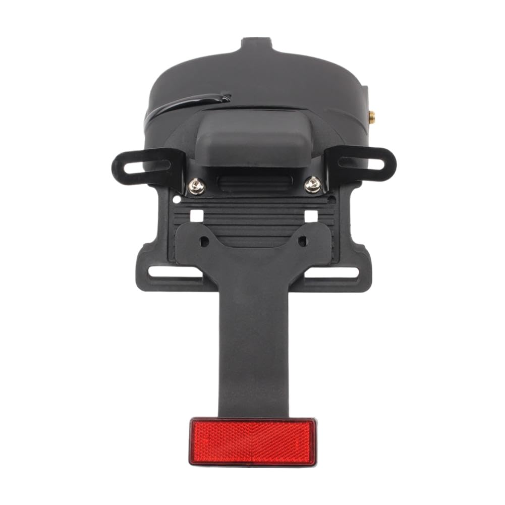 Staffa Di Montaggio Per Targa Posteriore E Fanale Compatibile Con Sportster XL883 XL1200 Iron 883 Iron 1200 2004-2022