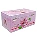 TAOPU Classical Ballerina Musical Jewelry Box with Drawer and Dancing Ballerina,Girls Gifts for Kids Jewel Storage, Girls Music Box for Kids Ages 3-12 Gift