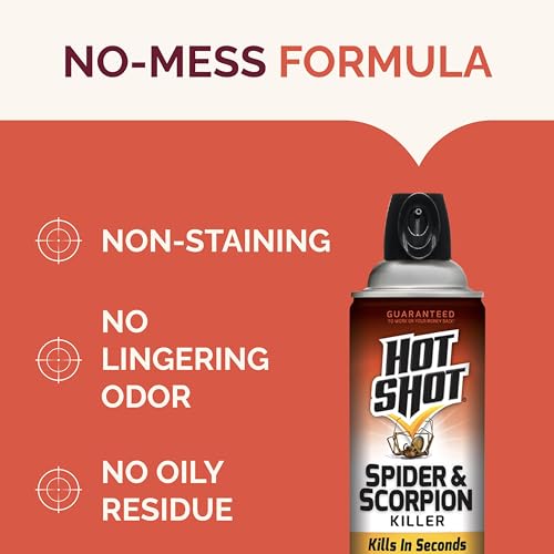 Image of Hot Shot Spider & Scorpion Killer (Aerosol), Kills Large Spiders and Scorpions in Seconds, Including Black Widow, Brown Recluse and Wolf Spiders, 16 Ounces