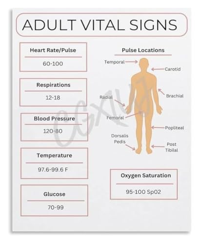 CJJNXYZMD Adult Vital Signs Chart Guide Metal Tin Sign Reference Wall Decor Living Room 8 X 12 in