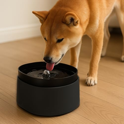 Image of Automatic Pet Water Fountain for Cats and Dogs | Ultra-Quiet | BPA-Free & Easy to Clean | Large Capacity Water Dispenser | Promotes Fresh Hydration | Indoor Fountain for Small Cats (Black)