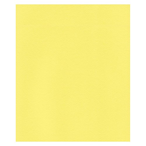 エスケント ケント紙 スターカラー 四切 レモン 100枚 5746004