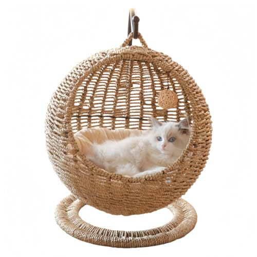 VZX҂݃P[WLnEXLxbhNbVك{[vX`bNٕ҂ h[^nbN (VRC)