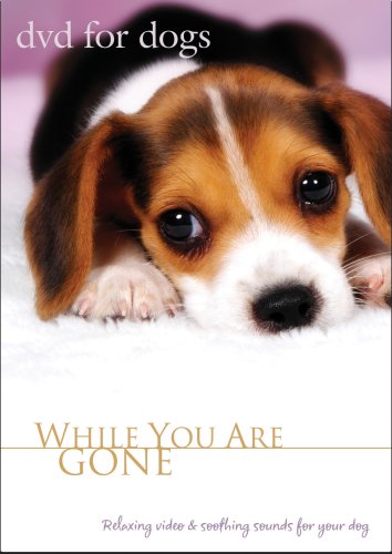 DVD For Dogs: While You Are Gone Relaxing Dog Video