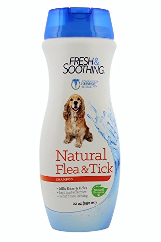 Fresh Dental 338050 22 Oz Naturel Promise Fresh & Soothing Natural Flea & Tick Pet Shampoo Fresh Dental 338050 22 Oz Naturel Promise Fresh & Soothing Natural Flea & Tick Pet Shampoo